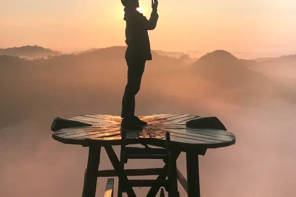 願