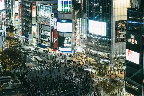 街頭生存的智慧